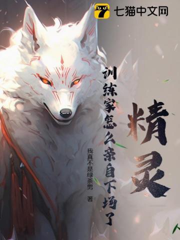 精灵训练师攻略大全