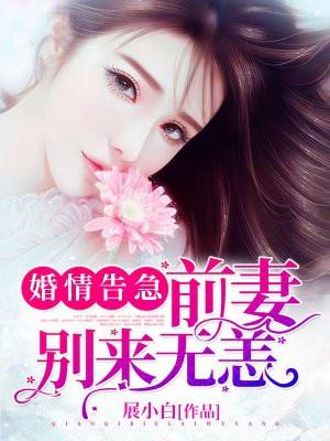 婚情告急前妻