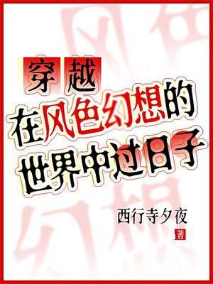 风色幻想是什么意思