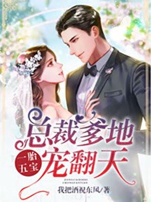 一胎五宝总裁爹地劫婚