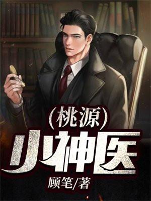 桃源小神医王昊