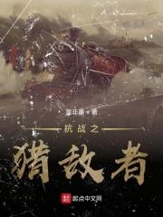 抗战之猎豹突击队剧情介绍