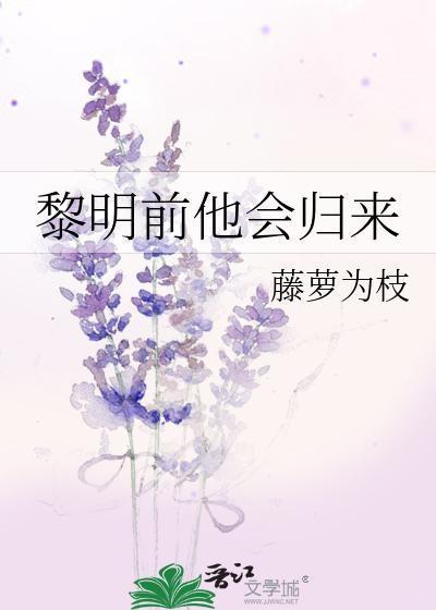 黎明前他会归来百度