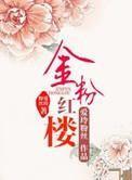 金粉世家民国版红楼梦