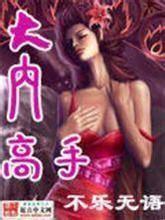 大内高手电影完整版
