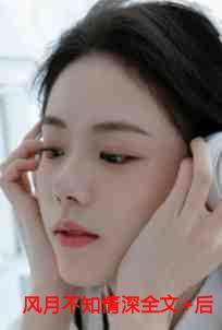 作者风月人不知