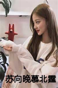 苏向晚慕北霆全章