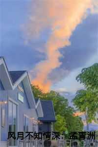 风月不知相思意全文免费阅读