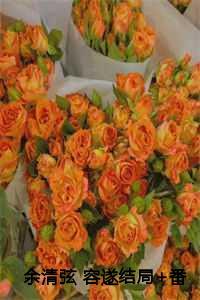 余清弦容遂大结局后续