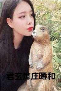 玄烨云曦免费阅读