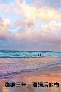 隐婚三年前妻不好追书包网