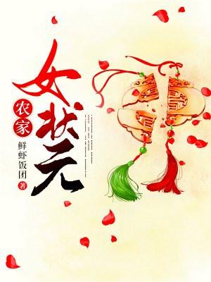 农女状元妻