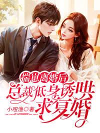 总裁低身诱哄求复婚免费阅读
