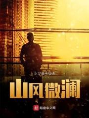 山风微澜txt百度