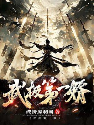 武极第一婿笔趣阁