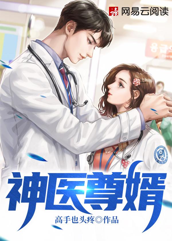 神医尊婿孤南