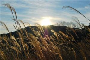 翻江倒海的近义词