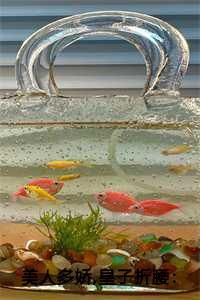 美人多娇皇子折腰陆宁晚萧晔9