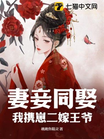 妻妾同娶?我携崽二嫁王爷 跳跳鱼精灵