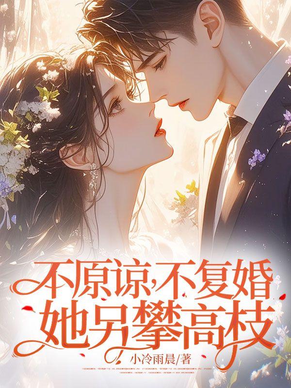 不原谅不复婚她另攀高枝免费观看
