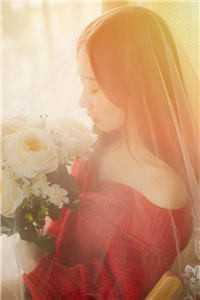 穿越我是全星际的心尖宠