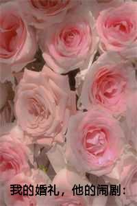 我的婚礼他的闹剧陆彦周诗诗陈若汐