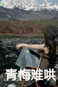 青梅难哄在线阅读