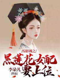 综影视黑莲花攻略之旅