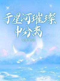 于星河璀璨中分离第11章