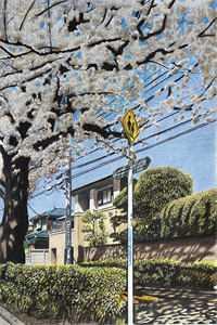 亿万哥布林碾压高武很合理吧动漫