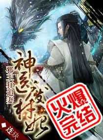 神医废材妃南宫浅战无极