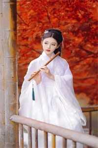 重生之嫡女凤临天下