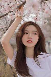 与君相离别不知几经年向诗余沈修景后续