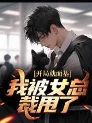 开局就是女总裁