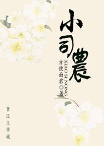 小司农全文免费阅读