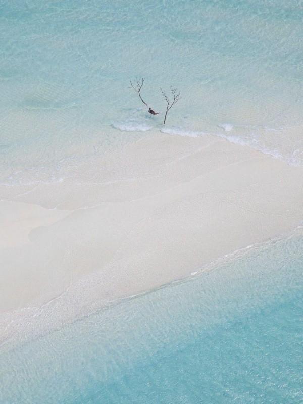 丫鬟身子小姐命是什么意思?