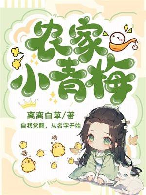 农家小青梅起点