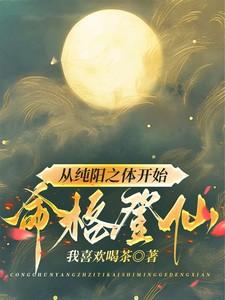 主角是纯阳之体