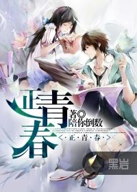 正青春黑客