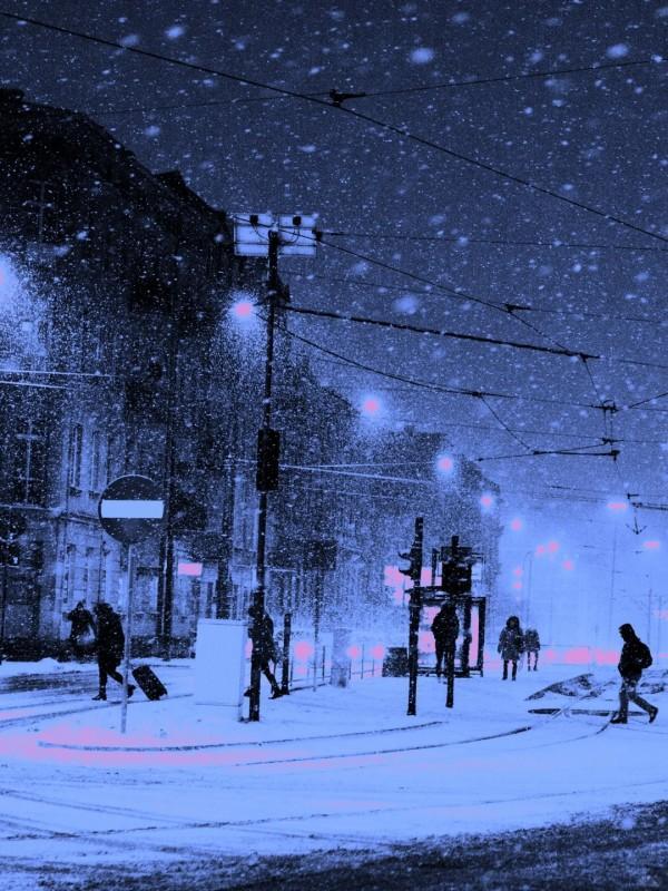 替罪羊作者是谁