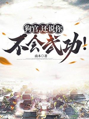 还说你不会武功txt