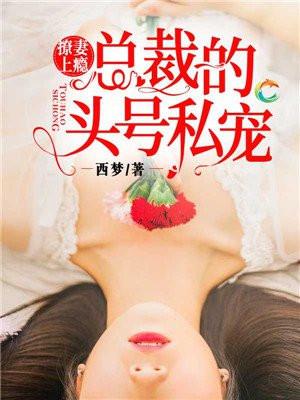 撩妻总裁宠上瘾全文