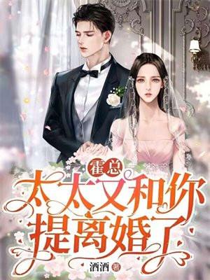 太太又和你提离婚了阅读