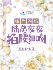 强势宠妻陆总宠她入骨