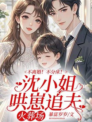 不离婚!不分床!沈小姐哄崽追夫火葬场txt