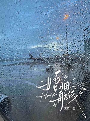 婚姻航线全集在线阅读