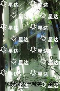 风起时 作者