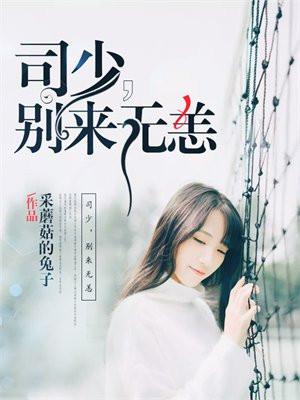 司先生别来无恙免费