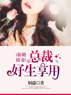 总裁的新婚宠妻