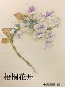 重生梧桐花开